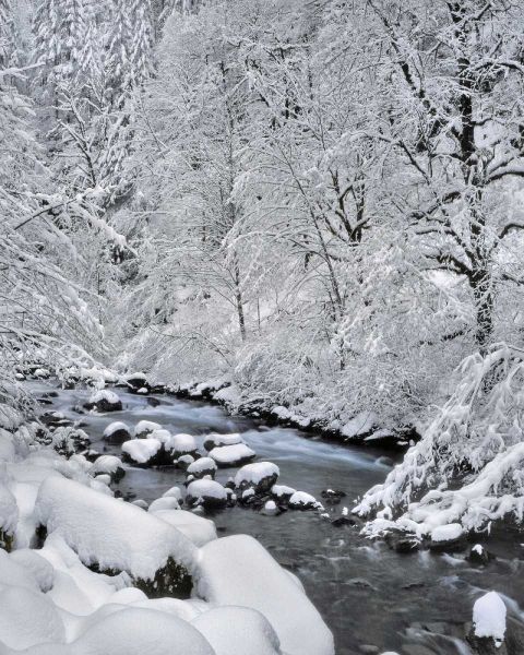 Oregon, Mt Hood NF Snow on Boulder Creek